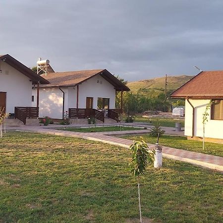 Zander House Pecineaga Екстериор снимка