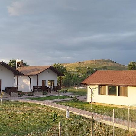 Zander House Pecineaga Екстериор снимка